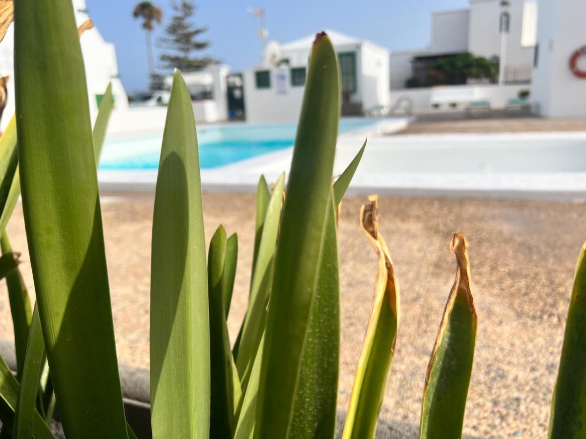 Las Mimosas Beach Sol Puerto del Carmen  Eksteriør billede