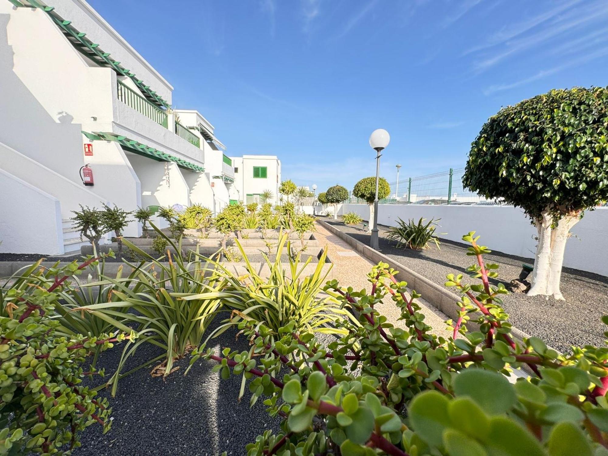 Las Mimosas Beach Sol Puerto del Carmen  Eksteriør billede